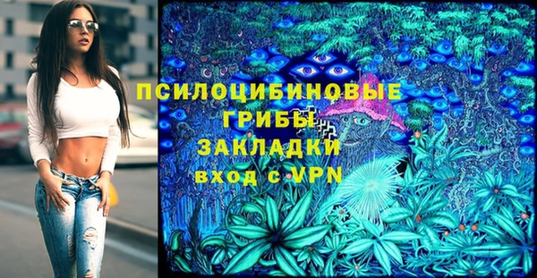 прущие грибы Абинск