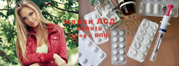 прущие грибы Абинск